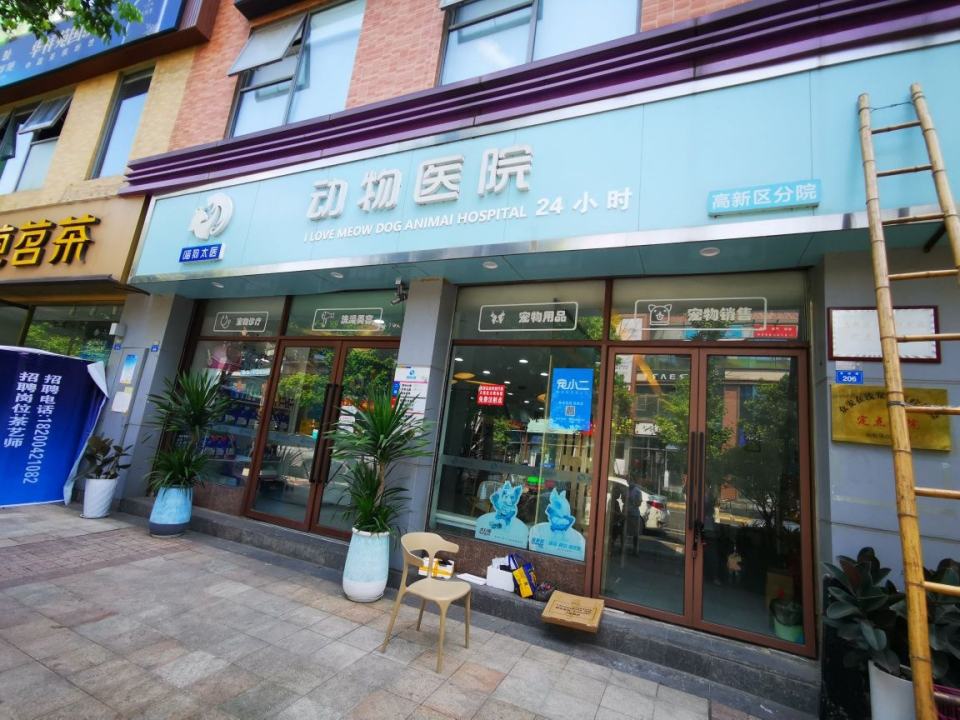 喵狗太医动物医院·猫科·异宠专科·骨科·24小时