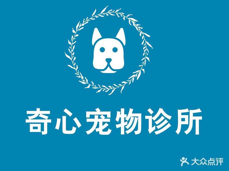奇心宠物诊所