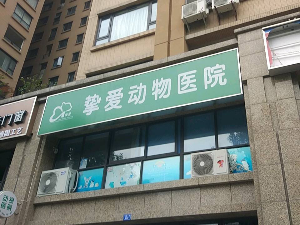 挚爱动物医院·骨科·心脏·异宠