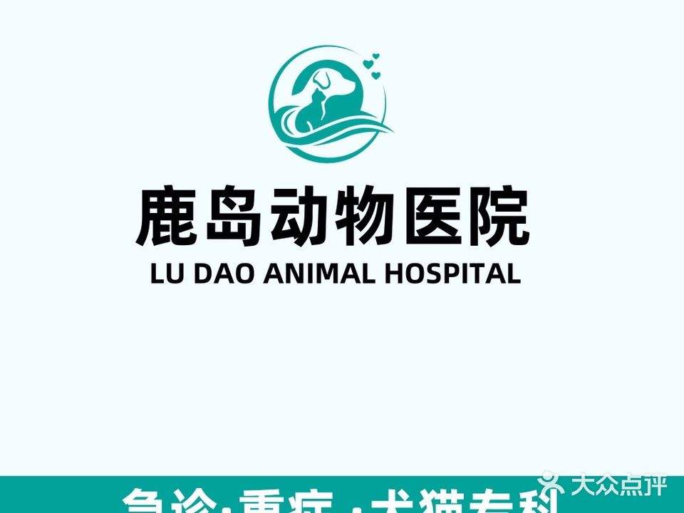 鹿岛动物医院·24小时·小动物全科