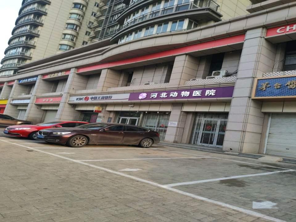 悦宠动物医院(八匹马分院)