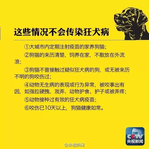 被小奶猫挠了用打针吗